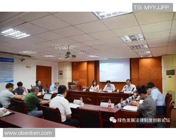 法律视角下的社会治理创新与司法公正发展路径研究